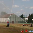 zdjęcie nr 59