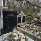 zdjęcie nr 45