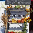 zdjęcie nr 18