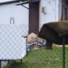 zdjęcie nr 7