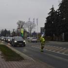zdjęcie nr 17