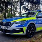 Fotka nr 1 z 5