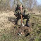 Fotka nr 2 z 15
