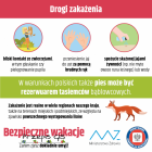 Fotka nr 1 z 3