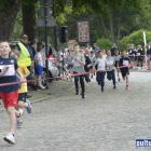 zdjęcie nr 43