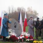 zdjęcie nr 23