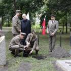 zdjęcie nr 8