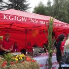 zdjęcie nr 352