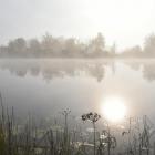 zdjęcie nr 26
