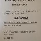 Fotka nr 0 z 1