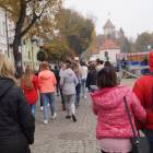 zdjęcie nr 50