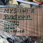 Fotka nr 2 z 3