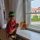 zdjęcie nr 14