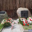 zdjęcie nr 28