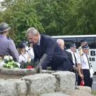 zdjęcie nr 25