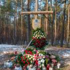zdjęcie nr 78