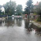 zdjęcie nr 10