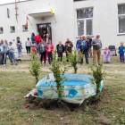 zdjęcie nr 43