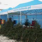 zdjęcie nr 35
