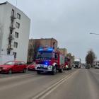 Fotka nr 2 z 3