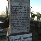 Fotka nr 5 z 7