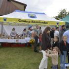 zdjęcie nr 10