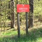 zdjęcie nr 34