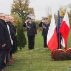 zdjęcie nr 12