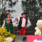 zdjęcie nr 140