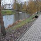 Fotka nr 1 z 7