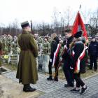 zdjęcie nr 21