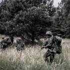 Fotka nr 3 z 15