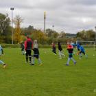 Fotka nr 3 z 179