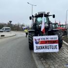 zdjęcie nr 18