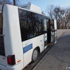 Fotka nr 4 z 5