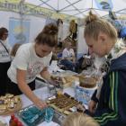 zdjęcie nr 24