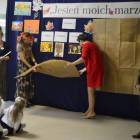 zdjęcie nr 21