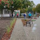 zdjęcie nr 8