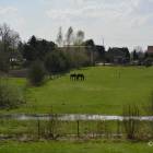 zdjęcie nr 22