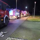 Fotka nr 1 z 11