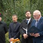 zdjęcie nr 15
