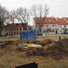 Fotka nr 3 z 11
