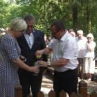 zdjęcie nr 37