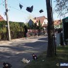 zdjęcie nr 81