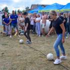 zdjęcie nr 121