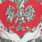 zdjęcie nr 8