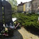 zdjęcie nr 8