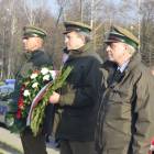 zdjęcie nr 80