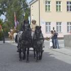 Fotka nr 4 z 52