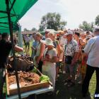 zdjęcie nr 38